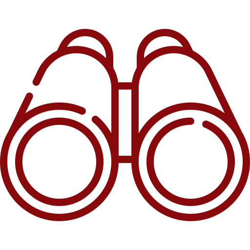 Our Vision